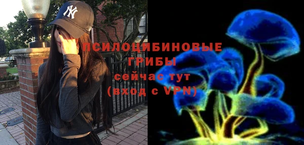 ПСИЛОЦИБИНОВЫЕ ГРИБЫ Михайловск