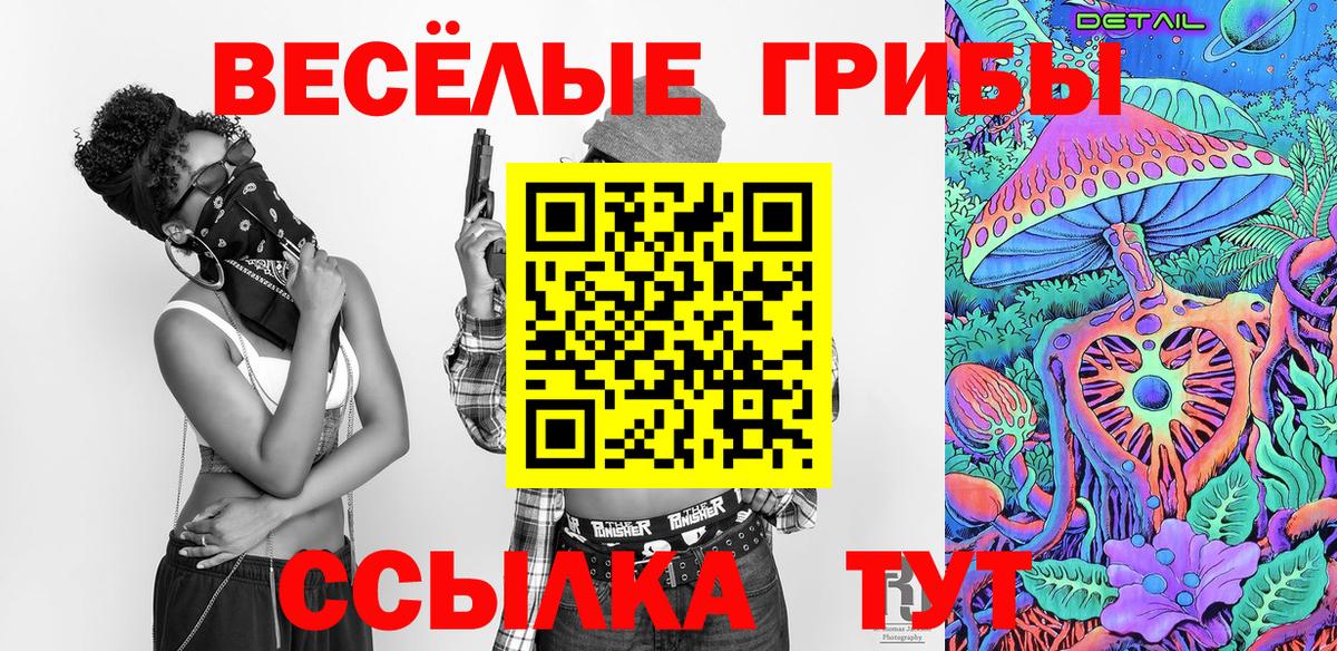Галлюциногенные грибы MAGIC MUSHROOMS Балтийск