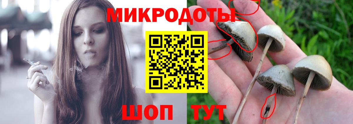 Балтийск  Псилоцибиновые грибы ЛСД  как найти наркотики  Вход с VPN 